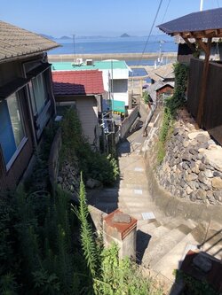 IMG_0201.jpeg