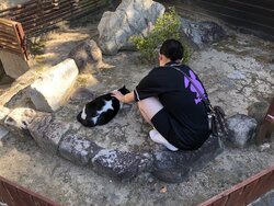 IMG_0200.jpeg