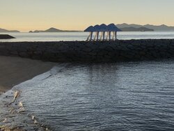 IMG_0203.jpeg