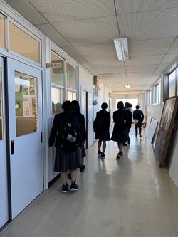 IMG_4380.jpg